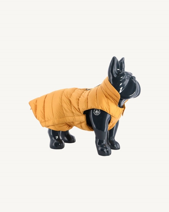 Jott UK Moutarde Dogs Down Jacket Woop
