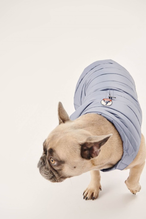 Blue Delave Dogs Down Jacket Woop Jott UK