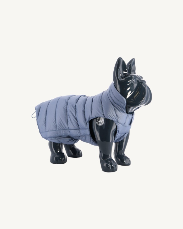 Blue Delave Dogs Down Jacket Woop Jott UK
