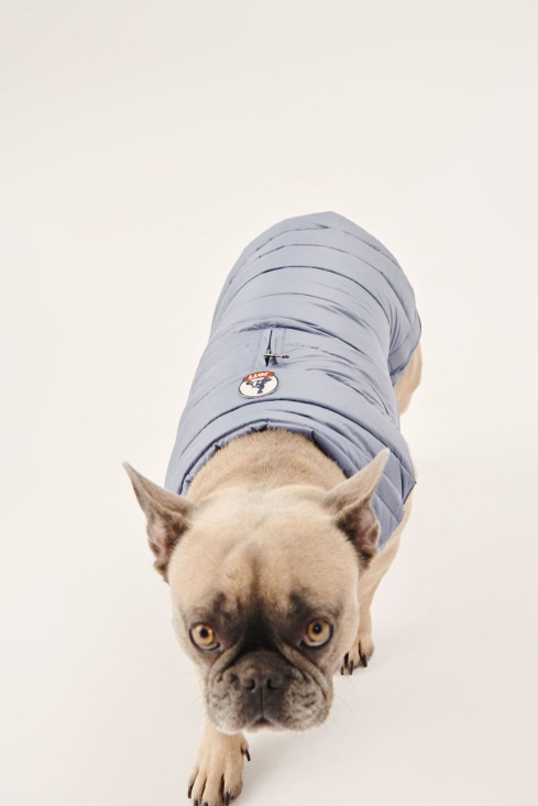 Blue Delave Dogs Down Jacket Woop Jott UK