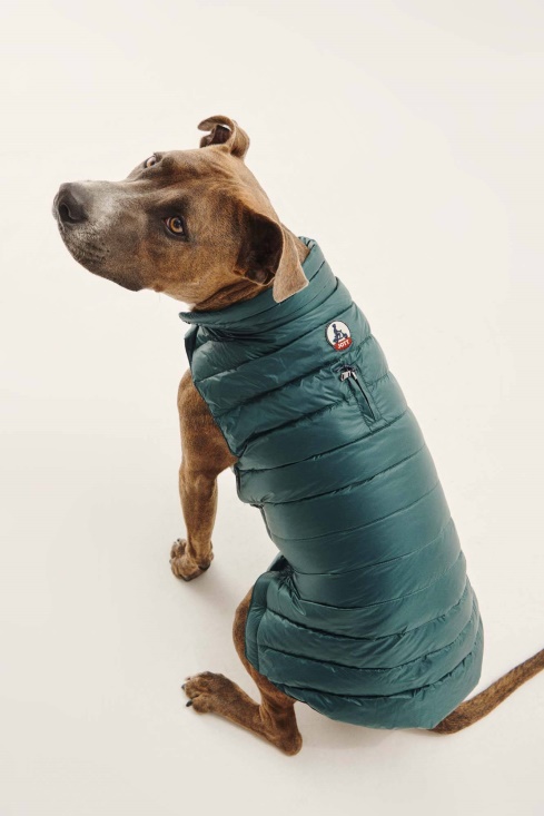 Jott UK Vert Fonce Dogs Down Jacket Woop
