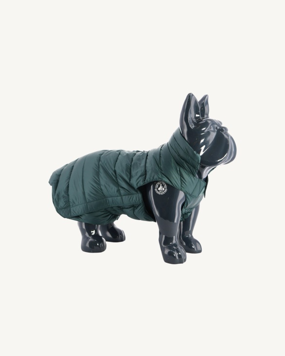 Jott UK Vert Fonce Dogs Down Jacket Woop