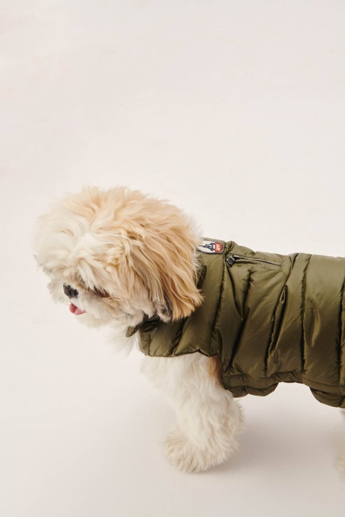 Army Dogs Down Jacket Woop Jott UK