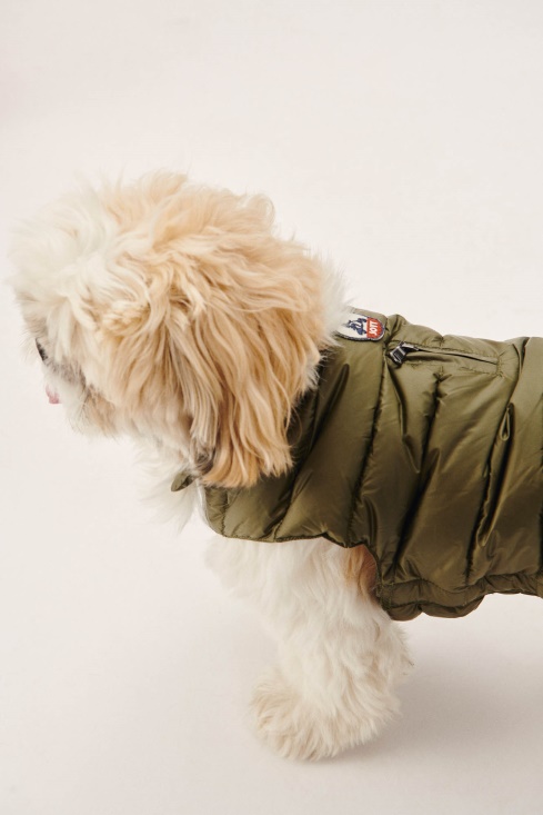 Army Dogs Down Jacket Woop Jott UK