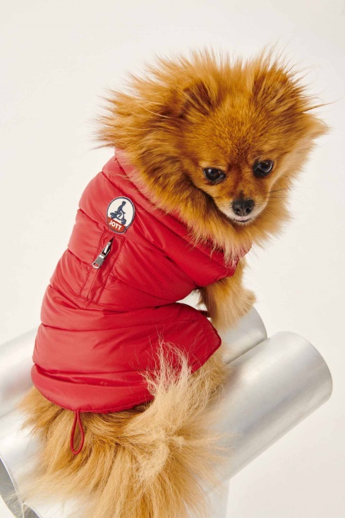 Jott UK Rouge Dogs Down Jacket Woop