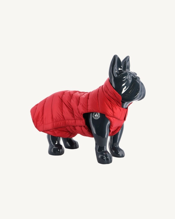 Jott UK Rouge Dogs Down Jacket Woop