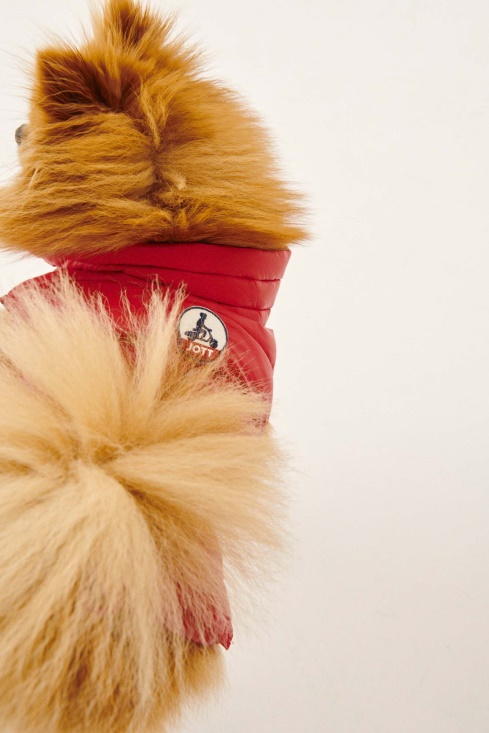 Jott UK Rouge Dogs Down Jacket Woop