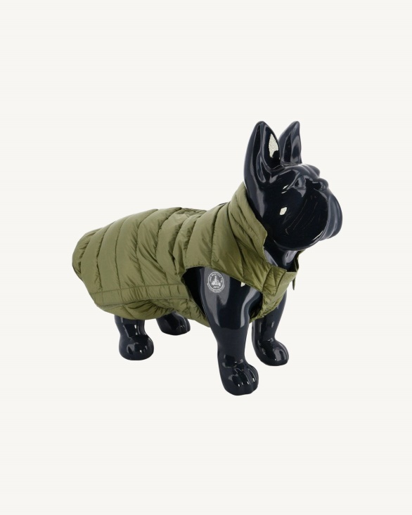 Bush Dogs Down Jacket Woop Jott UK