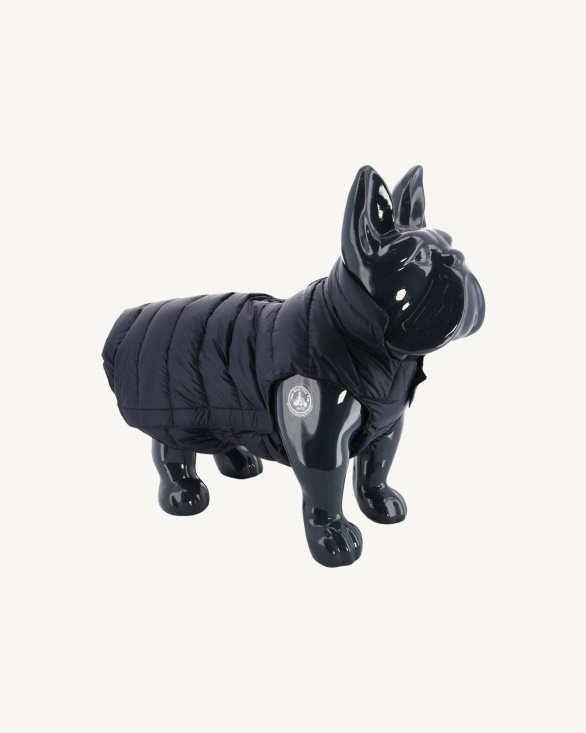 Jott UK Navy Dogs Down Jacket Woop