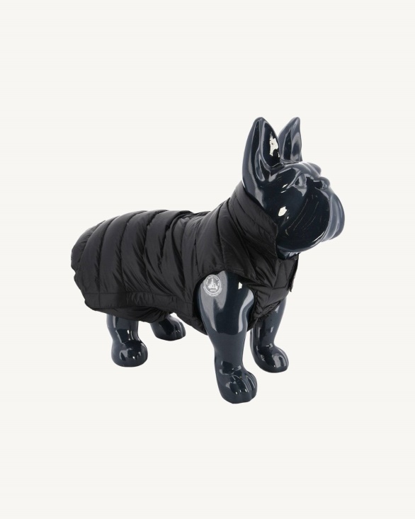 Black Dogs Down Jacket Woop Jott UK