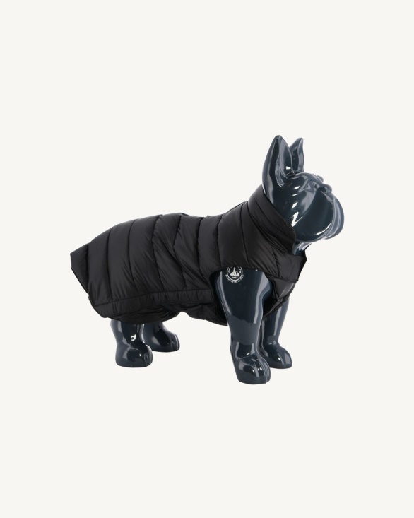 Black Dogs Down Jacket Woop Jott UK